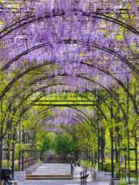 Shanghai’s “The Garden of Words” Vibes in Spring | A Hidden Gem in the City 🌸✨