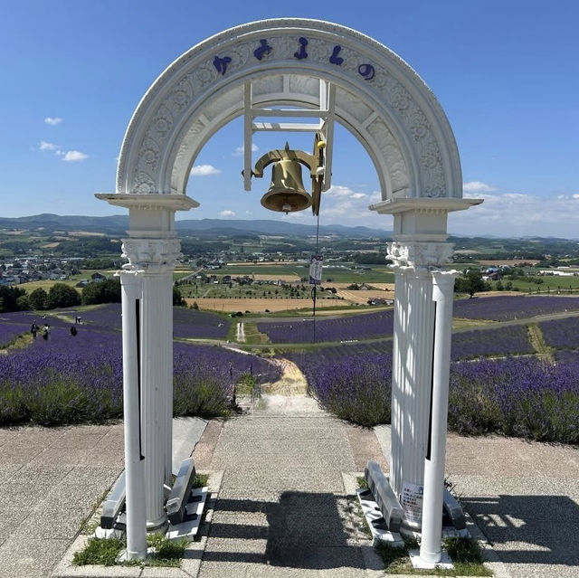 Hinode Lavender Garden: A Solo Traveler’s Purple Paradise in Hokkaido"** 🪻🏔️   