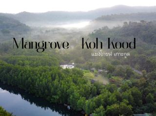Mangrove Bungalow 🛏️
