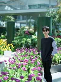 สวนดอกไม้เมืองหนาวระยอง