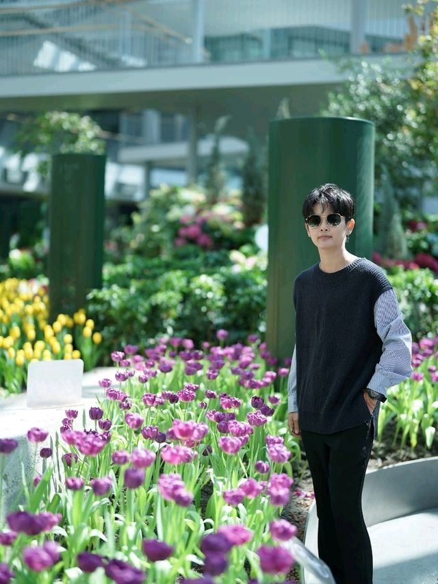 สวนดอกไม้เมืองหนาวระยอง