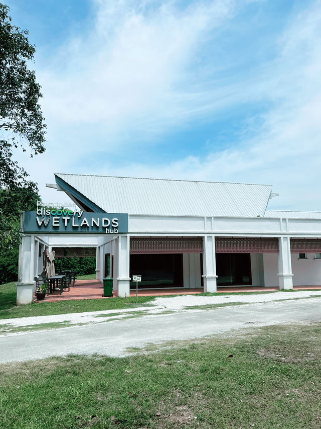 Tranquil Wonders of Paya Indah Wetlands