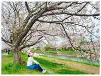 Ukiha : เมืองเล็กๆที่เหมือนอยู่ในโลกอนิเมะ