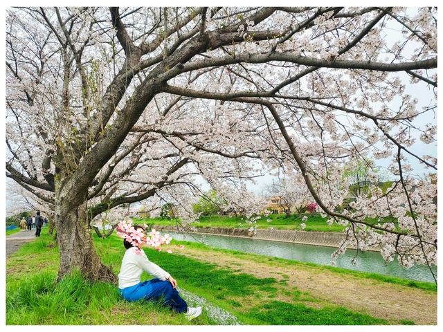 Ukiha : เมืองเล็กๆที่เหมือนอยู่ในโลกอนิเมะ
