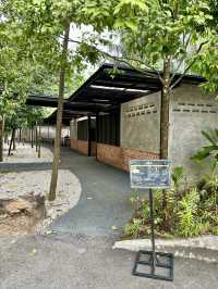 Free & Serene: Why Locals Love Taman Tugu’s Trails