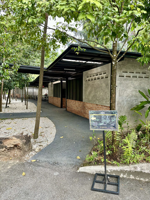 Free & Serene: Why Locals Love Taman Tugu’s Trails