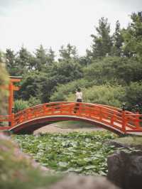【日本 │ 青森】千本鳥居の高山稲荷神社⛩