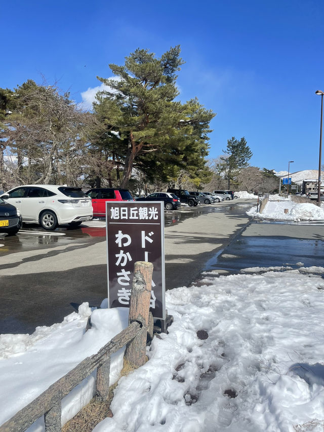Road to Lake Yamanaka ❄️