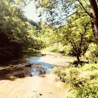 *Xianning: Hot Springs & Bamboo Seas in Hubei Province