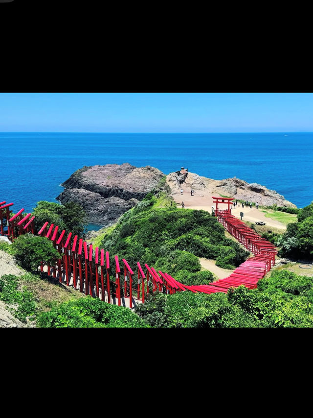 ⛩️元乃隅神社｜海へ続く123基の鳥居が織りなす絶景の神社