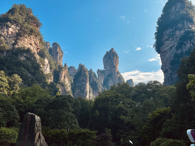 From Skyscrapers to Sky Pillars✨: A Journey Through Chongqing🌆 & Zhangjiajie 🏞️