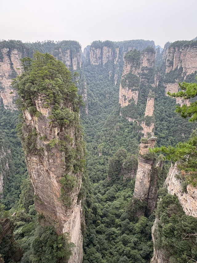 【🇨🇳張家界】大人気観光地”張家界”を最適ルートで巡る裏技！