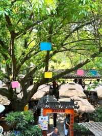 A Leisurely Day at Chengdu Renmin Park