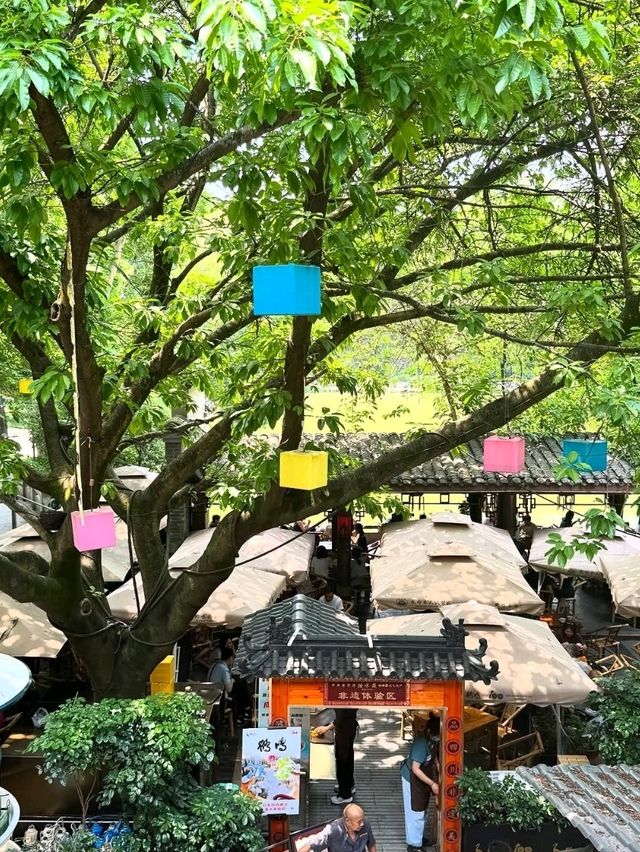 A Leisurely Day at Chengdu Renmin Park
