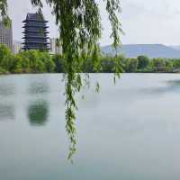 🌿 Yintan Wetland Park — Nature’s Calm by the Sea