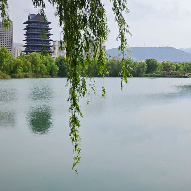🌿 Yintan Wetland Park — Nature’s Calm by the Sea