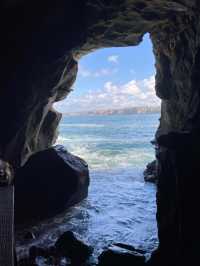 聖地牙哥 La Jolla 拉荷亞海灣 與海獅海豹一起賞日出