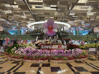 ✈️ Changi Airport Terminal 3 Departure Hall – A Journey in Comfort and Discovery