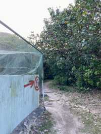 香港｜雙鹿石澗——四壘潭瀑布 ⛰️ 