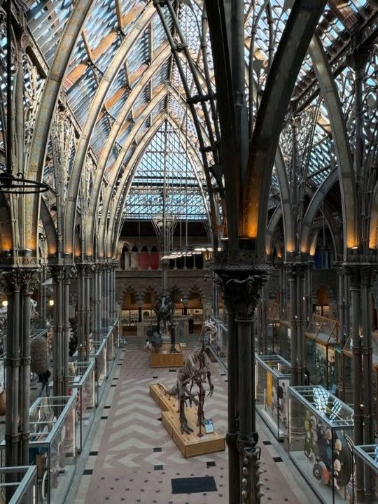 FREE entry, another amazing museum in Oxford, opened in 1860, was established to consolidate the university's scattered scientific collections and facilities into a single, purpose built space.