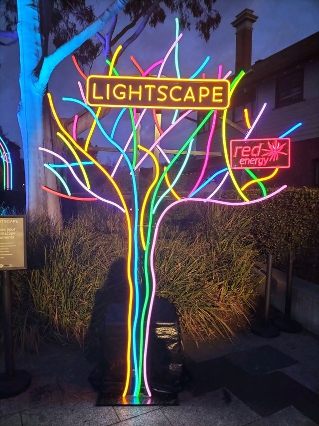 🎆Lightscape Part 1🎆