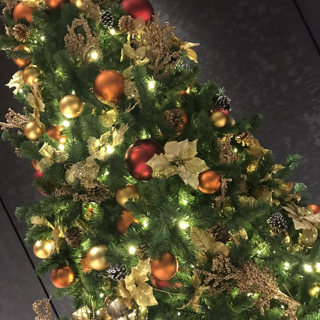 横浜元町で過ごす、心温まるクリスマスと年末のセール 🎄 横浜元町クリスマスツリーアーカイブ 横浜元町で過ごす、心温まるクリスマスと年末のセール 🎄 横浜元町クリスマスツリーアーカイブ