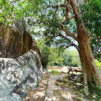 Serene Beauty of Hatthikucchi