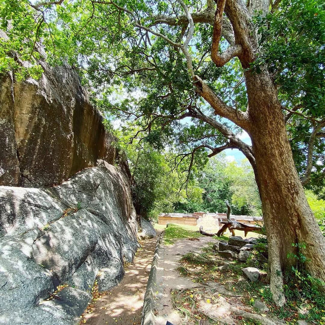 Serene Beauty of Hatthikucchi