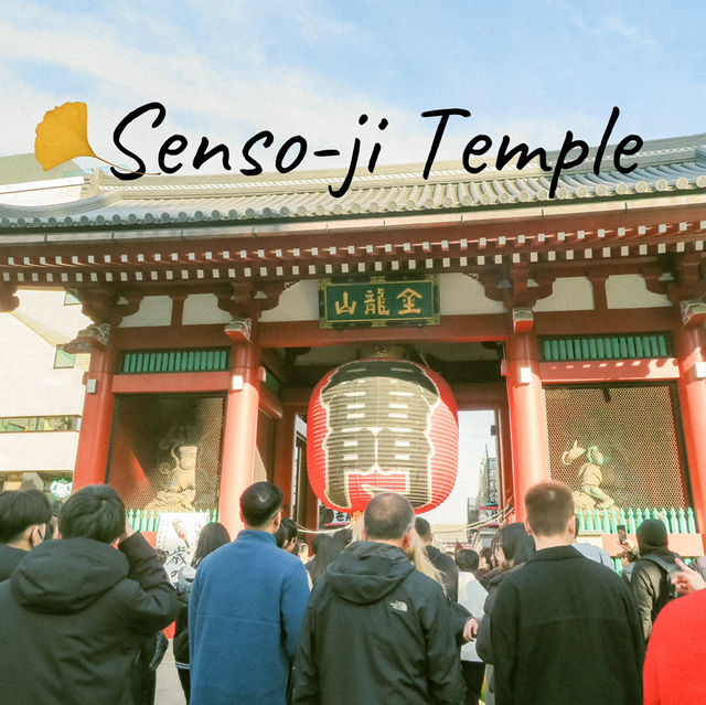 🏯 วัดเซ็นโซจิในฤดูใบไม้ร่วง 