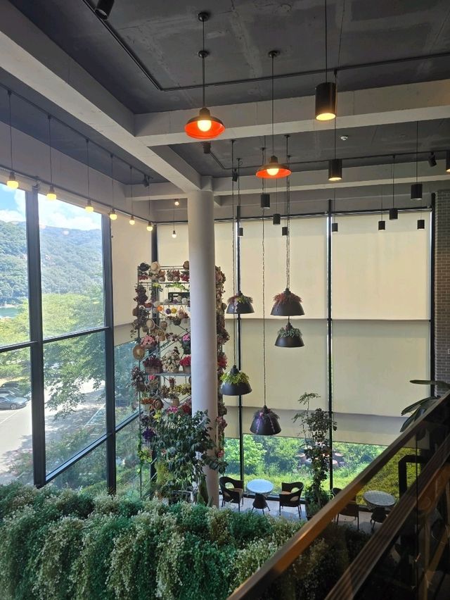 담양 아리에뜰 카페 방문 🌿☕