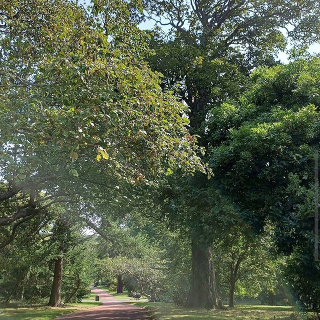 Royal Botanic Garden Edinburgh