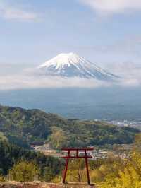 【富士山腳下｜仰望聖山的寧靜時光】
