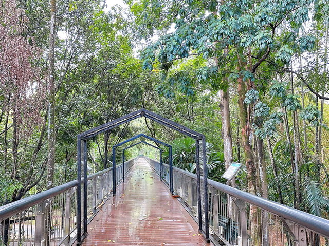 Canopy Bridge, Taman Botani Putrajaya