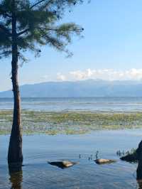 Erhai Vibes Only: China's Most Instagrammable Lake