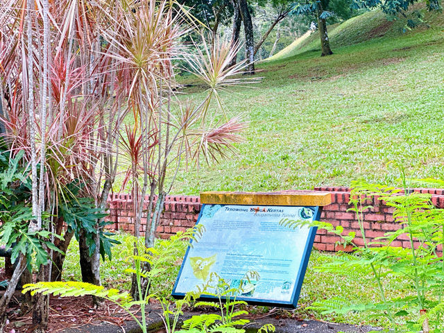 A Walk Through Terowong Bunga Kertas 