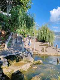 Island Stroll: Embracing the Beauty of Erhai Lake