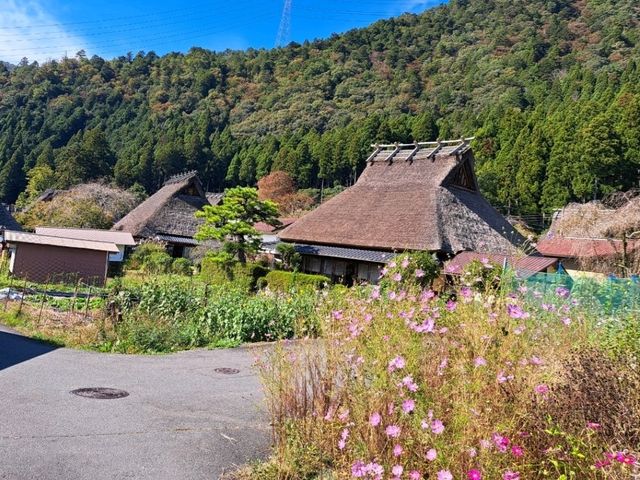 京都｜森林裡的合掌村落〔美山町〕
