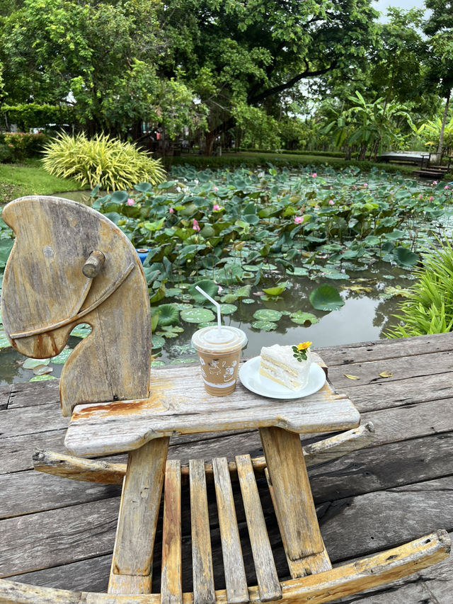 154.7 Coffee Garden 🌿 154.7 Coffee Garden 🌿