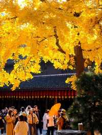 Longhua Temple Shanghai วัดหลงหัว