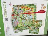 🌳【上海隱藏的“綠野仙蹤”!共青森林公園:城市中心的天然氧吧,隨手一拍就是森林大片!】🌳