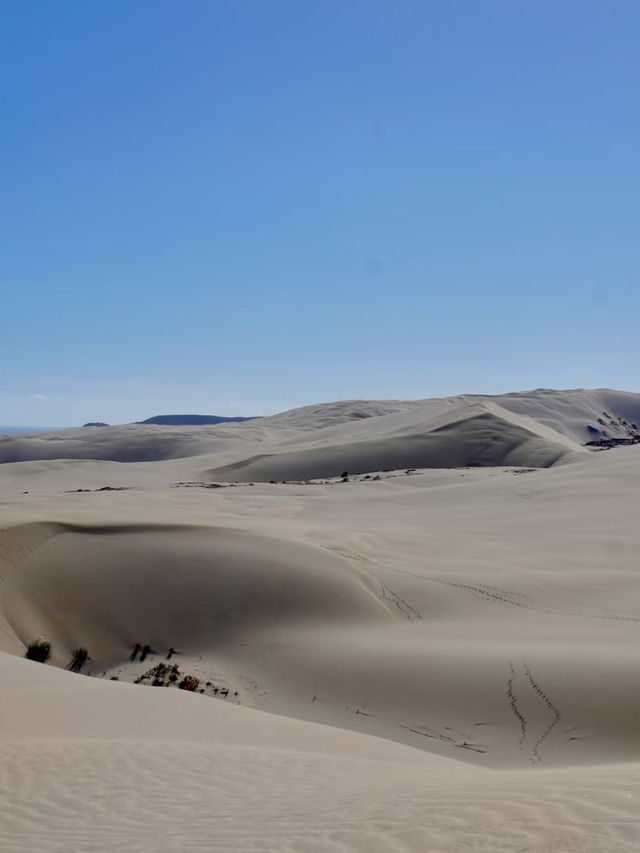 Giant Sand Dunes – Nature’s Majestic Playground in New Zealand Giant Sand Dunes – Nature’s Majestic Playground in New Zealand