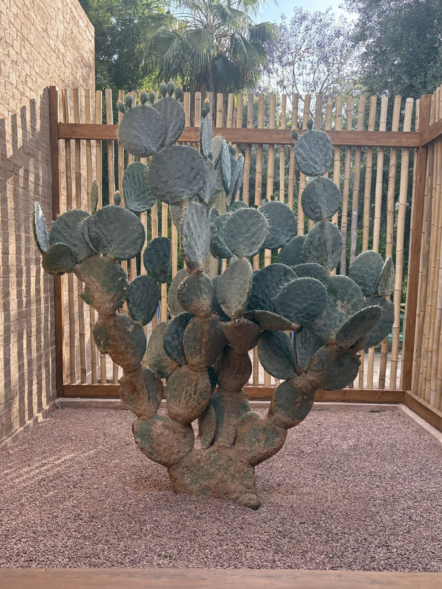 【🇲🇦モロッコ/マラケシュ】マジョレル庭園 【🇲🇦モロッコ/マラケシュ】マジョレル庭園