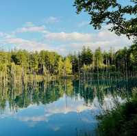 Dreamscape in Blue: My Solo Trip to the Blue Pond, Hokkaido