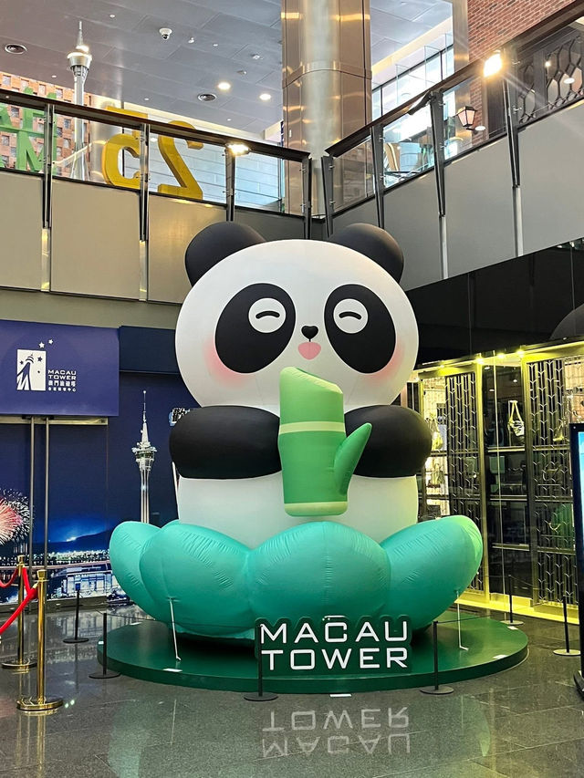 澳門特色景點 澳門塔 笨豬跳
