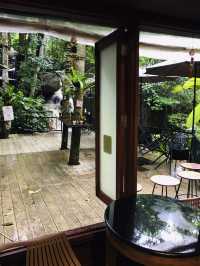 รีวิวร้านกาแฟ Teddy Coffee แม่กำปองกลางหุบเขา