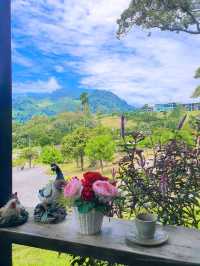The Enclave Stay 🌿