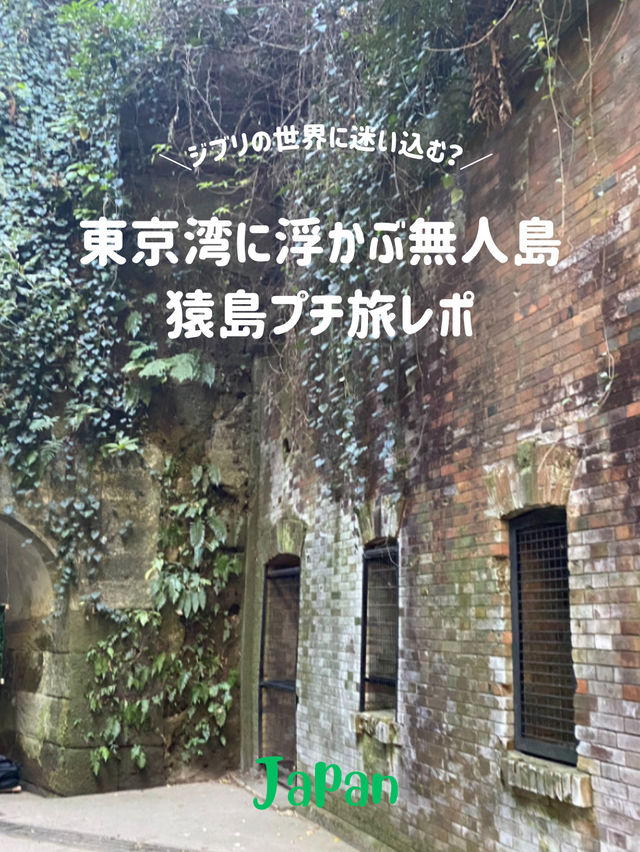 【東京湾に浮かぶ無人島🏝️猿島🐵】不思議な無人島体験レポ‼️