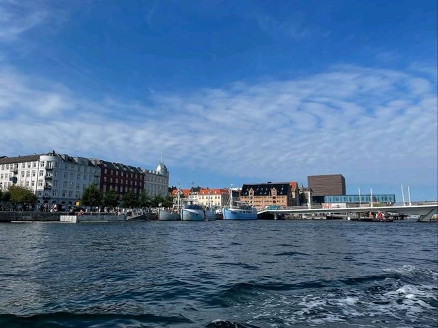Soaking Up the Charm of Copenhagen