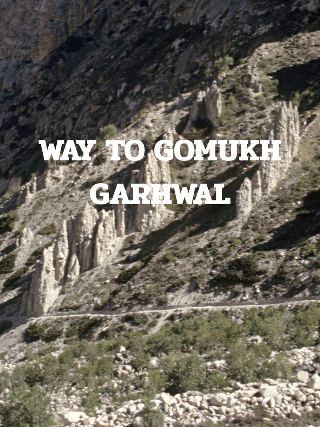 GOMUKH TRIP GOMUKH TRIP