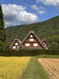 夏末白川鄉不一樣的風景
